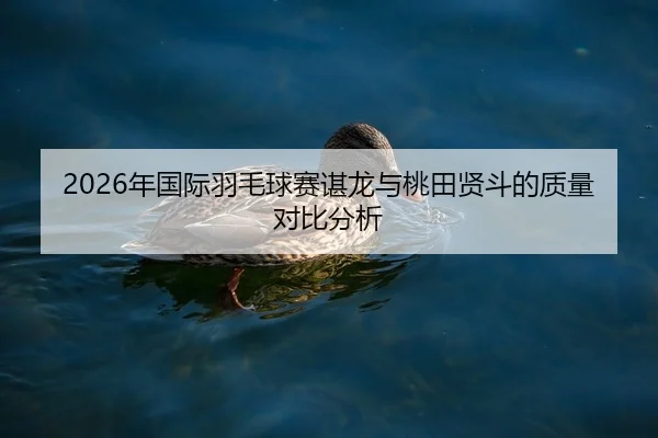 nian-guo-ji-yu-mao-qiu-sai-chen-long-yu-tao-tian-xian-dou-de-zhi-liang-dui-bi-fen-xi-2-799.jpg