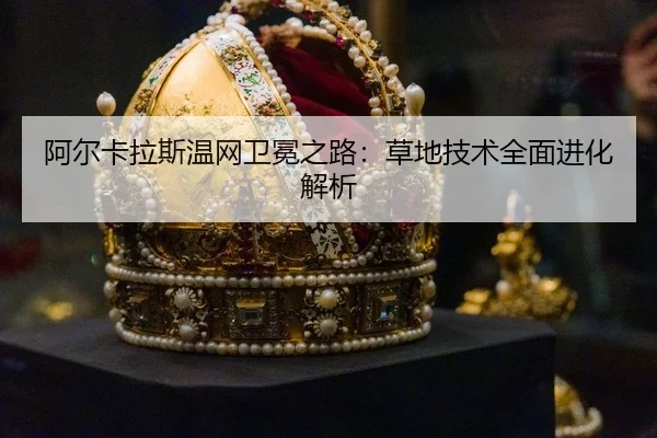 a-er-ka-la-si-wen-wang-wei-mian-zhi-lu-cao-di-ji-shu-quan-mian-jin-hua-jie-xi-3-230.jpg