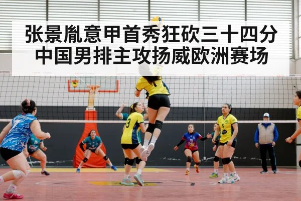 volleyball match arena