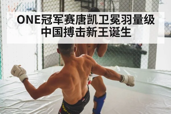 ONE冠军赛唐凯卫冕羽量级中国搏击新王诞生