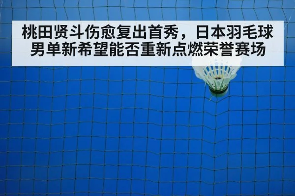 badminton court
