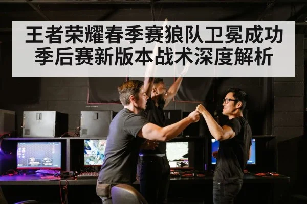 王者荣耀春季赛狼队卫冕成功 季后赛新版本战术深度解析