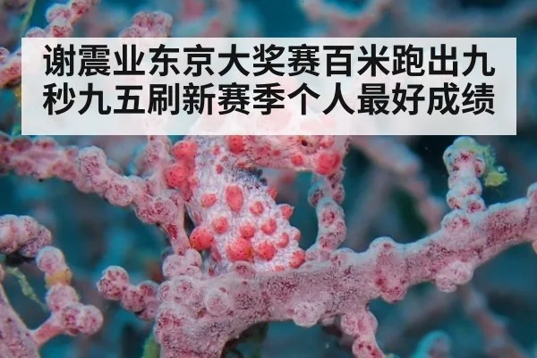 谢震业东京大奖赛百米跑出九秒九五刷新赛季个人最好成绩