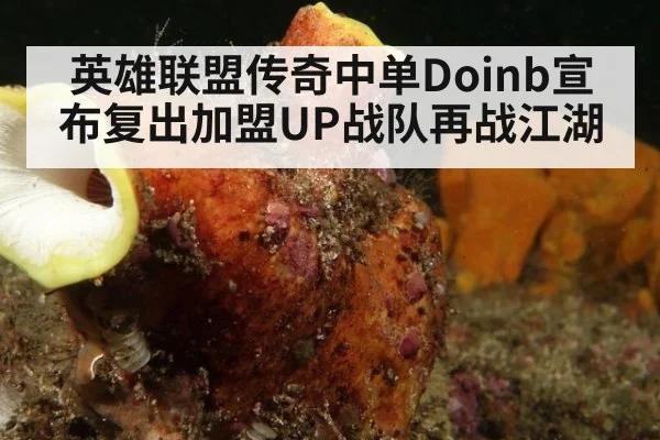 英雄联盟传奇中单Doinb宣布复出加盟UP战队再战江湖